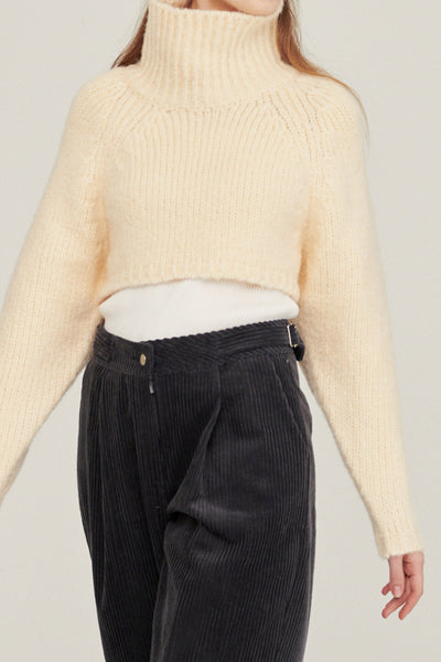 STORETS.us Whitney Two-way Cropped Sweater
