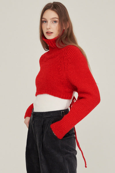 STORETS.us Whitney Two-way Cropped Sweater